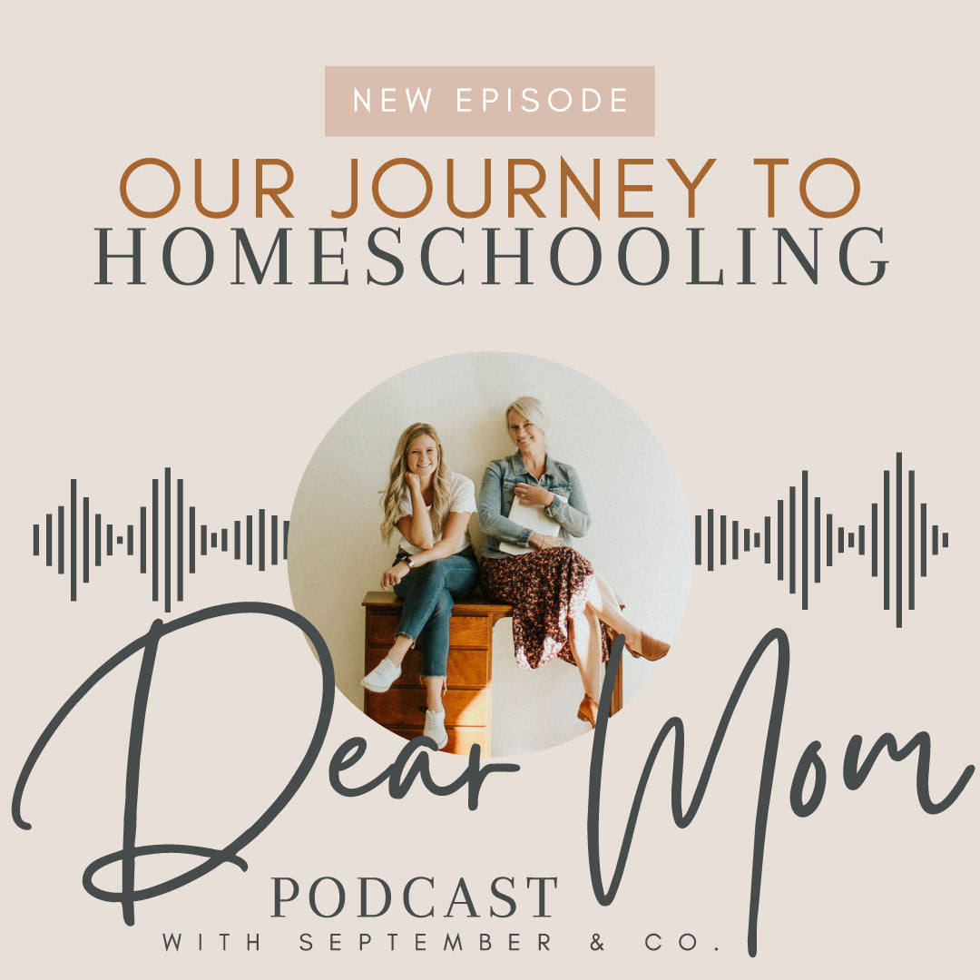 Episode 3: Our Journey to Homeschooling
