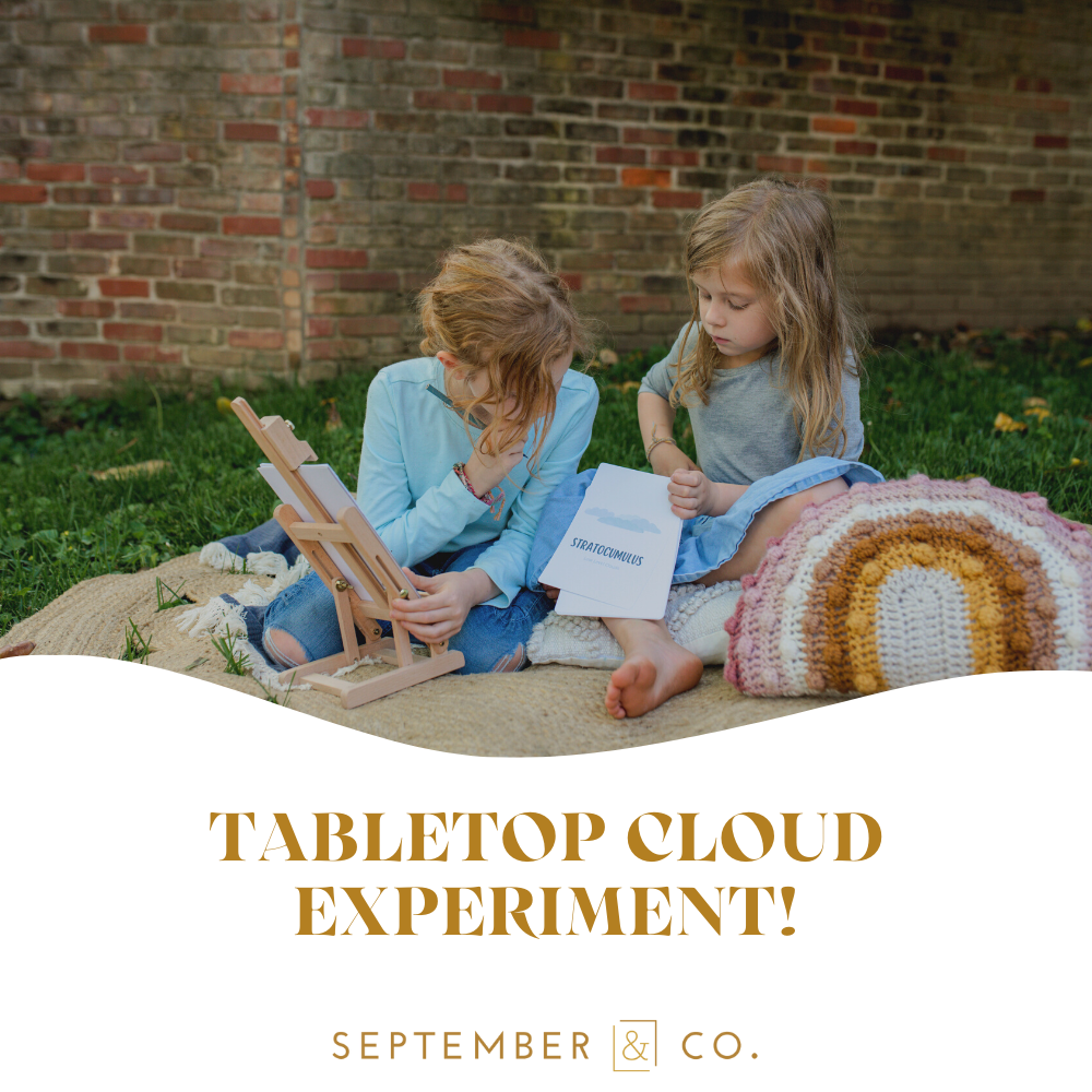 Cloud In A Jar Experiment