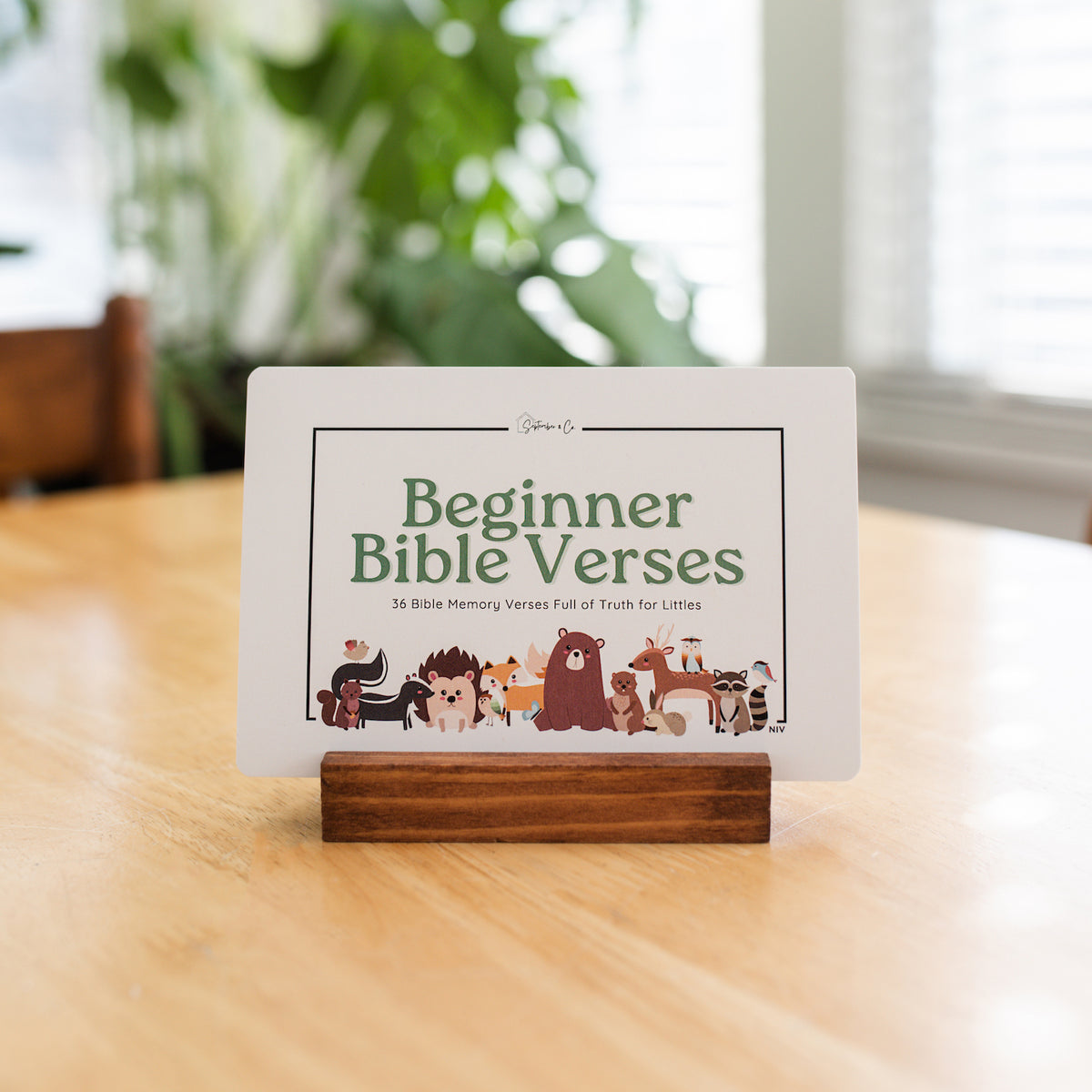 Beginner Bible Verse Cards