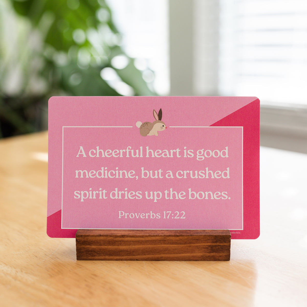 Beginner Bible Verse Cards